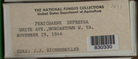 Image Associated With the Occurence